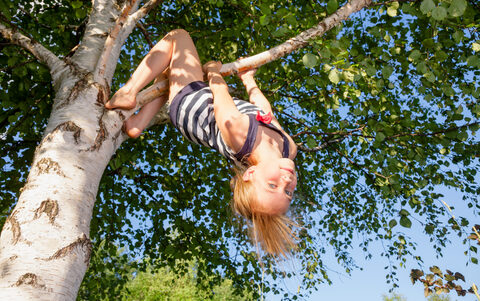 shutterstock_1279135351