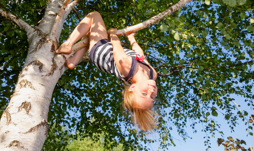 shutterstock_1279135351