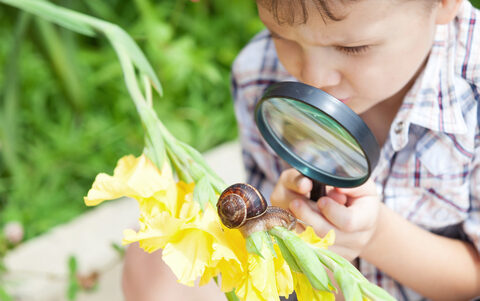 shutterstock_525889123