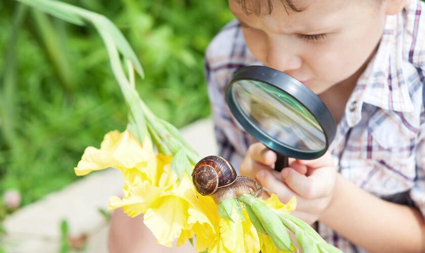 shutterstock_525889123